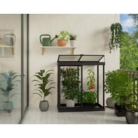 Minigewächshaus Ivy 4x2 Schwarz 66x63cm von Canopia