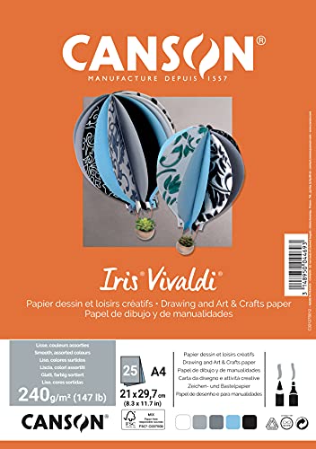 CANSON Packung mit 25 Blatt Iris, Vivaldi, A4, 240 g/m², verschiedene Farben, Grau von Canson