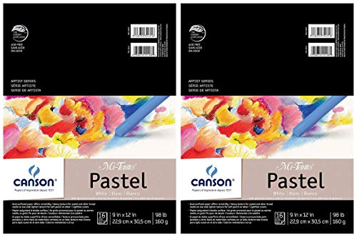 Canson Mi-Teintes Pastell-Papierblock, weiß mit Pergamin, zweiseitig, leichte und schwere Textur, oben drahtgebunden, 44,5 kg, 22,9 x 30,5 cm, weiß, 16 Blatt pro Packung von Canson