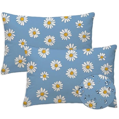 Entenei Outdoor Kissen Wasserfest 2er Set Kissenbezugen 40x60 cm Rechteckig Sofakissen Daisy Blumen Sitzkissen Outdoor Balkon Deko Weicher Kissenbezugen für Sommer Fall Gartenmöbel Stuhl Deko, S-1328 von Canuhkun
