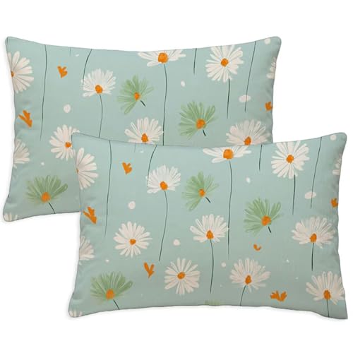 Kissenbezug 60x80 cm Rechteckig Sofakissen Entenei DekoKissen Daisy Blumen 2er Set Weicher Zierkissen Couchkissen Beidseitig Bedruckt Muster für Deko Wohnzimmer Gartenmöbel Kissen Geschenke S-1325 von Canuhkun