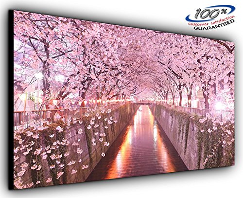Canvas Von Canvas35 LTD. Cherry Blossoms Panorama Wohnzimmer Schlafzimmer Wand absolut Gerahmter Kunstdruck Images-Choose Ihre Größe (139,7 x 61 cm), Mehrfarbig, 45" x 19" von Canvas