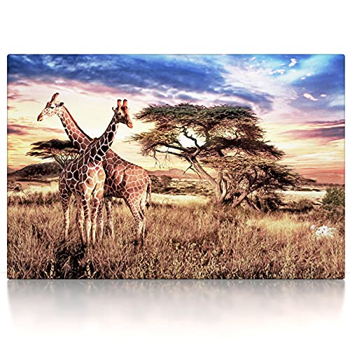 Afrika Giraffen - Leinwand Bild - aufhängefertig Wandbild XXL Canvas Leinwandbild Kunst Kunstdruck Druck Bilder Deko Wanddekoration Wand Modern Art Wohnzimmer (100 x 70 cm, Leinwand auf Keilrahmen) von CanvasArts