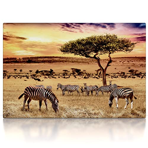 Afrika Zebras - Leinwand Bild - aufhängefertig Wandbild XXL Canvas Leinwandbild Kunst Kunstdruck Druck Bilder Deko Wanddekoration Wand Modern Art Wohnzimmer (60 x 40 cm, Leinwand auf Keilrahmen) von CanvasArts