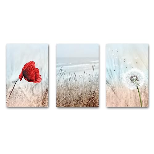 CanvasArts 3er Bilder Set - Leinwandbilder - Mohnblume Gras Pusteblume Stimmung Bilder Wohnzimmer Schlafzimmer Esszimmer (60 x 40 cm, Leinwand auf Keilrahmen) von CanvasArts