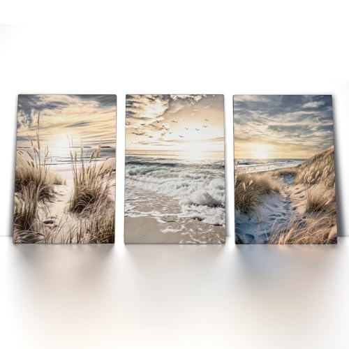 CanvasArts 3er Bilder Set - Leinwand Bilder - Strand Meer Beige Blau Braun Mood Ruhe Pampas Wohnzimmer Schlafzimmer Esszimmer (40 x 30 cm, Leinwand auf Keilrahmen) von CanvasArts