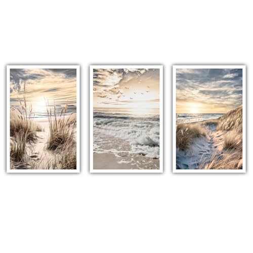 CanvasArts 3er Bilder Set - Poster ohne Rahmen - Strand Meer Beige Blau Braun Pampas Wohnzimmer Schlafzimmer Esszimmer (60 x 40 cm, Poster, Strand) von CanvasArts