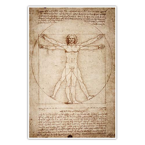 CanvasArts Vitruvianischer Mensch - Leonardo Da Vinci - Poster - Kunstdruck Wandbild Wallart (60 x 40 cm, Poster) von CanvasArts