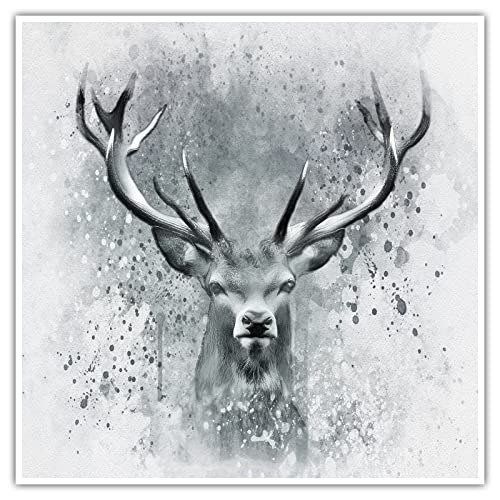 Hirsch - Poster ohne Rahmen - Geweih Posterdruck Bild Wandbild XXL Kunst Kunstdruck Druck Bilder Deko Wanddekoration Wand Modern Wohnzimmer (50 x 50 cm, Poster) von CanvasArts