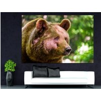Grizzlybär Natur Wandkunst Bär Kunstdruck Eisbär Kunst Extra Großes Poster Grizzlybär Natur Wandkunst Bär Kunstdruck Eisbär Kunst Extra Großes Poster von CanvasPrintStudioUA