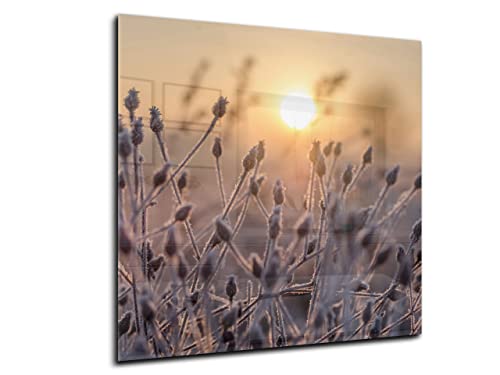 Canvasfly 60x60 Wandpaneele für Küche, Deko-Spritzschutz für Küchenrückwand Glas, Bilder aus Glas Gehärtet, Küchen-Deko Glasplatte aus Vorgespanntem Glas, Küchenrückwandplatte | Blume von Canvasfly