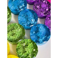 Petri Resin Magnete 1" Regenbogen Set Petri Resin Magnete 1" Regenbogen Set von CanyonResinCo