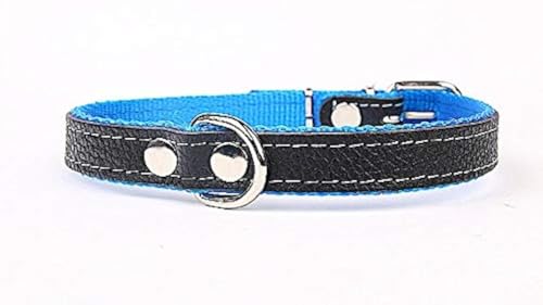 Hundehalsband weich unterlegt und starkes Halsband aus Echtleder Blau Breite 40mm Länge 55cm Hundehalsband weich unterlegt und starkes Halsband aus Echtleder Blau Breite 40mm Länge 55cm von Capadi