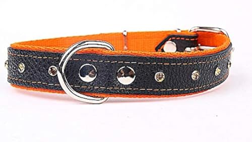 Capadi K0126 Hundehalsband verziert mit farbigen Chrystalsteinen weich unterlegt und Starkes Halsband aus Echtleder, Orange, Breite 30 mm, Länge 60 cm Capadi K0126 Hundehalsband verziert mit farbigen Chrystalsteinen weich unterlegt und Starkes Halsband aus Echtleder, Orange, Breite 30 mm, Länge 60 cm von Capadi