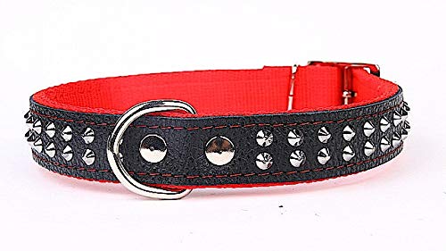 Capadi K0212 Hundehalsband verziert mit Ziernieten aus echtem strapazierfähiges Leder gefüttert mit starkem Nylon, Rot, Breite 30 mm, Länge 52 cm von Capadi