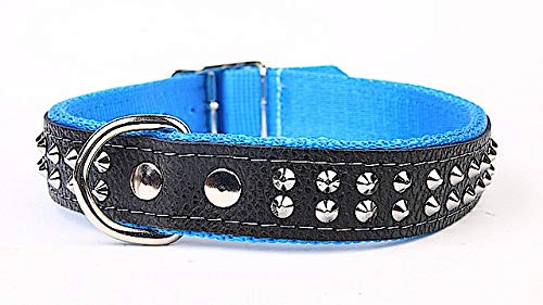 Capadi K0233 Hundehalsband verziert mit Ziernieten aus echtem strapazierfähiges Leder gefüttert mit starkem Nylon, Blau, Breite 30 mm, Länge 63 cm von Capadi