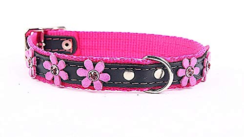 Capadi K0294 Hundehalsband verziert mit Blumen und Christallen aus echtem strapazierfähiges Leder weich unterlegt, Pink, Breite 30 mm, Länge 65 cm von Capadi