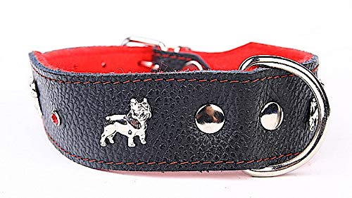 Capadi K0302 Hundehalsband für Bulldoge verziert mit Metallaplikation aus echtem strapazierfähiges Leder weich unterlegt, Rot, Breite 40 mm, Länge 45 cm von Capadi