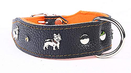 Capadi K0306 Hundehalsband für Bulldoge verziert mit Metallaplikation aus echtem strapazierfähiges Leder weich unterlegt, Orange, Breite 40 mm, Länge 45 cm von Capadi