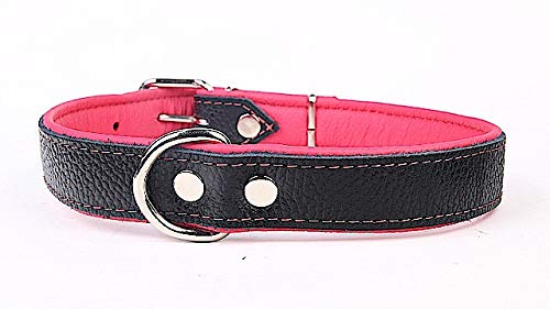 Capadi K0724 Hundehalsband mit Napaleder unterlegt und Starkes Hundehalsband aus Echtleder, Pink, Breite 30 mm, Länge 56 cm von Capadi