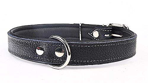 Capadi K0731 Hundehalsband mit Napaleder unterlegt und Starkes Hundehalsband aus Echtleder, Schwarz, Breite 30 mm, Länge 63 cm von Capadi
