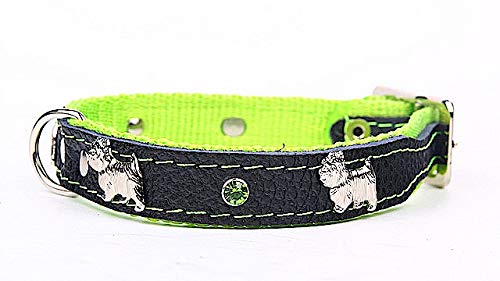Capadi K0865 Hundehalsband verziert mit Metallaplikation weich unterlegt und Starkes Hundehalsband aus Echtleder, Grün, Breite 20 mm, Länge 45 cm von Capadi