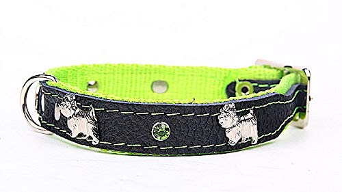 Capadi K0865 Hundehalsband verziert mit Metallaplikation weich unterlegt und Starkes Hundehalsband aus Echtleder, Grün, Breite 20 mm, Länge 45 cm Capadi K0865 Hundehalsband verziert mit Metallaplikation weich unterlegt und Starkes Hundehalsband aus Echtleder, Grün, Breite 20 mm, Länge 45 cm von Capadi