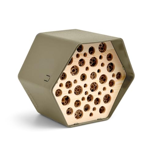 Capi Europe - Bienenhotel Hive - 19x23x20 - Grün - CAPI Biodiversity Hive - AHBEG001 Capi Europe - Bienenhotel Hive - 19x23x20 - Grün - CAPI Biodiversity Hive - AHBEG001 von Capi Europe