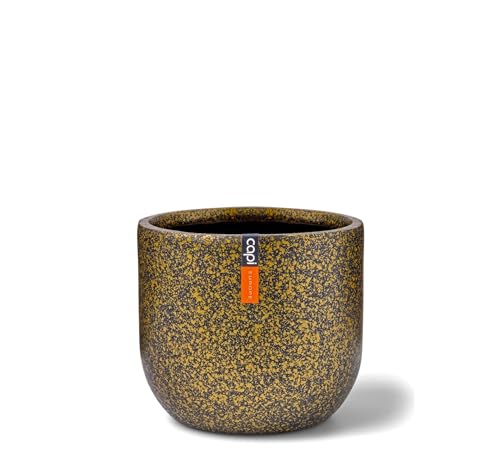 Capi Europe - Blumentopf Kugel Terrazzo Gold - 17x15 - Gold - Öffnung Ø15 - Blumentopf für drinnen - BTZG133 Capi Europe - Blumentopf Kugel Terrazzo Gold - 17x15 - Gold - Öffnung Ø15 - Blumentopf für drinnen - BTZG133 von Capi Europe