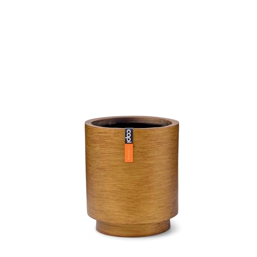 Capi Europe - Gefäß Zylinder Retro Gold & Copper - 23x25 - Gold - Öffnung Ø20 - Blumentopf für drinnen - BRTG315 von Capi Europe
