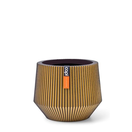 Capi Europe - Gefäß Zylinder geo Groove Black & Gold - 19x16 - Gold - Öffnung Ø15 - Blumentopf für drinnen - BGVGB334 von Capi Europe
