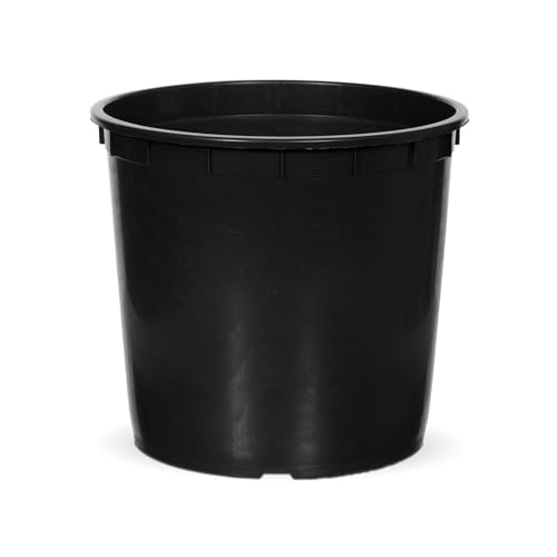 Capi Europe - EinsatzBlumentopf - 41x26 - Schwarz - CAPI Zubehör Capi Europe - EinsatzBlumentopf - 41x26 - Schwarz - CAPI Zubehör von Capi Europe