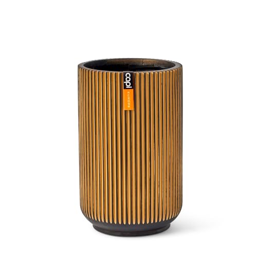 Capi Europe - Gefäß hoch Groove Black & Gold - 8x12 - Gold - Öffnung Ø6 - Blumentopf für drinnen - BGVGB431 Capi Europe - Gefäß hoch Groove Black & Gold - 8x12 - Gold - Öffnung Ø6 - Blumentopf für drinnen - BGVGB431 von Capi Europe