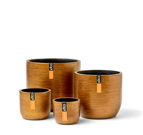 Capi Europe - Mix Box Blumentopf Kugel Retro Gold - Gold - Blumentöpfe für den Innenbereich - Geschenkset von Capi Europe