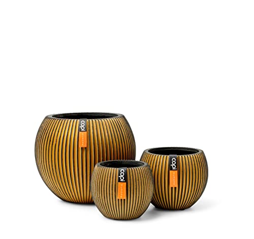 Capi Europe - Mix Box Gefäß Kugel Groove Gold - Gold - Blumentöpfe für den Innenbereich - Geschenkset von Capi Europe