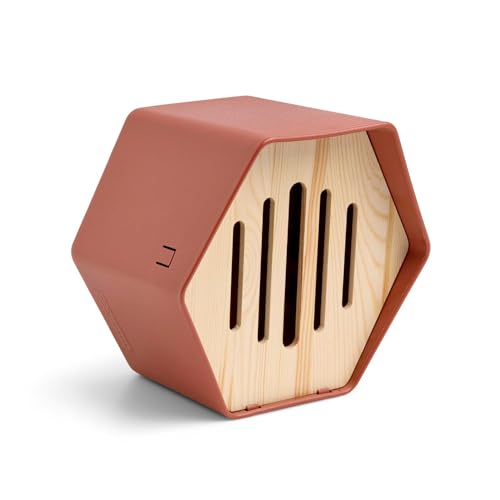 Capi Europe - Schmetterlingshaus Hive - 19x23x20 - Braun - CAPI Biodiversity Hive - AHBUB001 von Capi Europe
