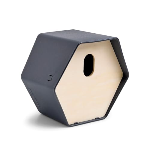 Capi Europe - Vogelhaus oval Hive - 19x23x20 - Anthrazit - CAPI Biodiversity Hive - AHBIA002 von Capi Europe