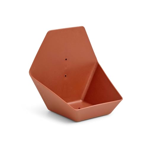 Capi Europe - Wasserschale Hive - 19x23x20 - Braun - CAPI Biodiversity Hive - AHWDB001 Capi Europe - Wasserschale Hive - 19x23x20 - Braun - CAPI Biodiversity Hive - AHWDB001 von Capi Europe