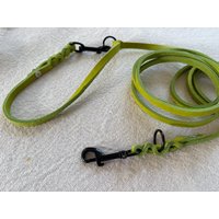 Fettlederleine Hundeleine Leine Ca. 2, 70 M Grün 10 Mm Breit, 3-Fach Verstellbar Fettlederleine Hundeleine Leine Ca. 2, 70 M Grün 10 Mm Breit, 3-Fach Verstellbar von CapolinoLeinen
