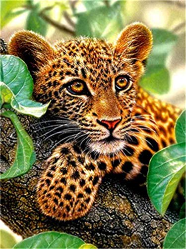 CaptainCrafts Malen nach Zahlen für Erwachsene, DIY Leinen Leinwand Malen nach Zahlen Ölmalerei Kit Wand Kunstwerk Geschenke Home Wall Decor 16 * 20 Zoll (Leopard, Rahmenlos) von CaptainCrafts