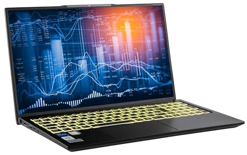 Captiva Notebook Power Starter I91-038 | Intel Core i5 1335U | 64GB DDR5 RAM | Intel Iris Xe Graphics | 1 TB SSD | 17.3 Zoll Full HD 60Hz | Windows 11 Home von Captiva