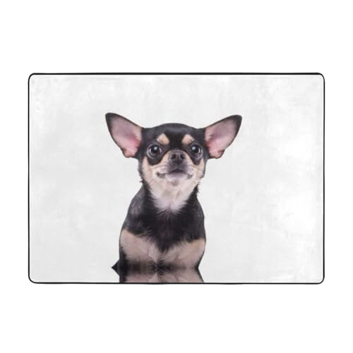 Niedlicher Chihuahua-Teppich, 203 x 147 cm, bedruckter Teppich, weicher Flanellstoff, geeignet für verschiedene Umgebungen von CarXs