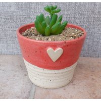 Sukkulenten Oder Kaktushalter Handgetöpferte Keramik Töpferscheibe Kakteen Sofort Versandfertig von CaractacusPots