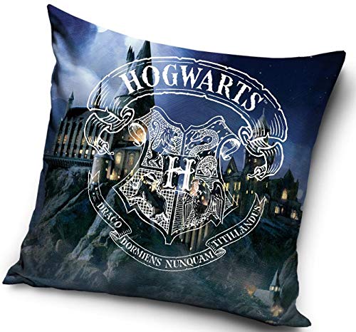 Harry Potter Kissenhülle, dekorativ, nicht gefüllt, 40 x 40 cm, Polyester, 40 x 40 cm von Carbotex