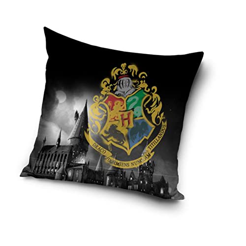 Harry Potter Kissenhülle Kissenbezug 40x40 cm (HP226054) von Carbotex