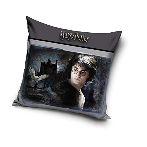 Harry Potter Kissenhülle Kissenbezug 40x40 cm (Harry 203019) von Carbotex