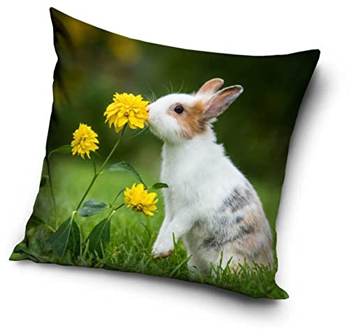 Hasen Kaninchen Baby Motiv Kissenhülle Kissenbezug 40x40 cm (PD211001) von Carbotex