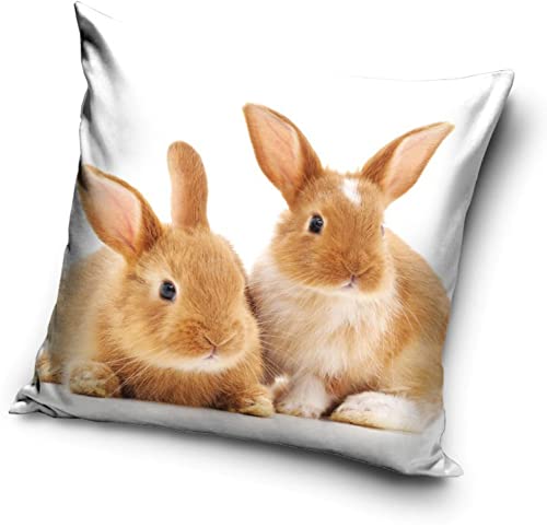 Hasen Kaninchen Baby Motiv Kissenhülle Kissenbezug 40x40 cm (PD211149) von Carbotex