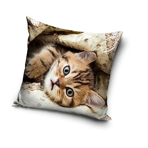 Katzen Baby Motiv Kissenhülle Kissenbezug 40x40 cm (PD221152) von Carbotex