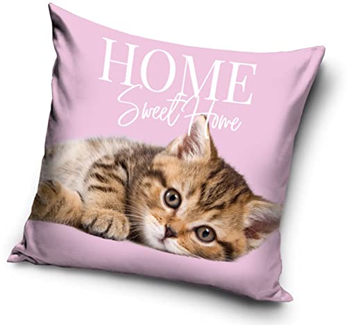 Katzen Baby Motiv Kissenhülle Kissenbezug 40x40 cm (PNL214089) von Carbotex